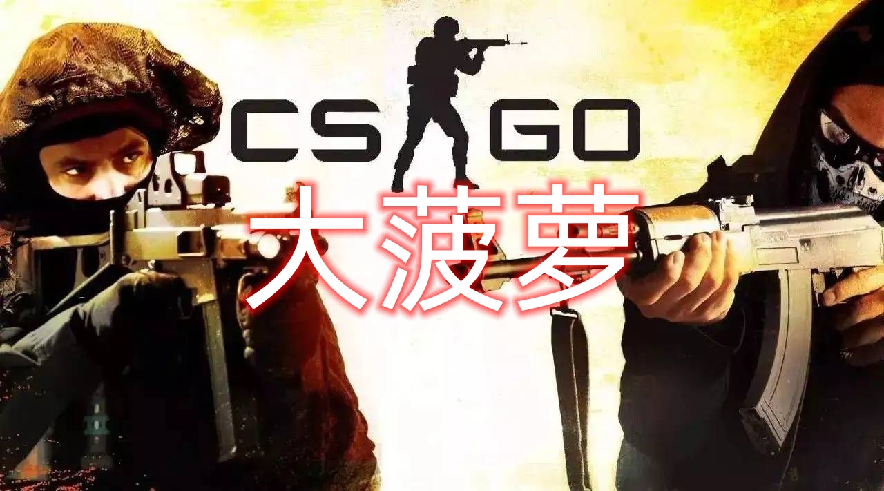 CSGO大菠萝辅助